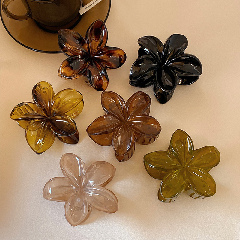 กิ๊บติดผมพลาสติกน้ำหนักเบา รูป - Hair Claw Clip Set บทวิจารณ์และราคา